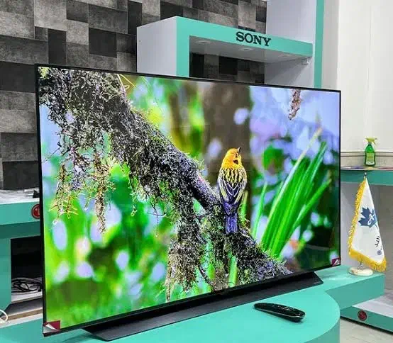 ۱۴۴ هرتز کیفیت محشر|تلویزیون و پروژکتور|بندر گناوه, |دیوار