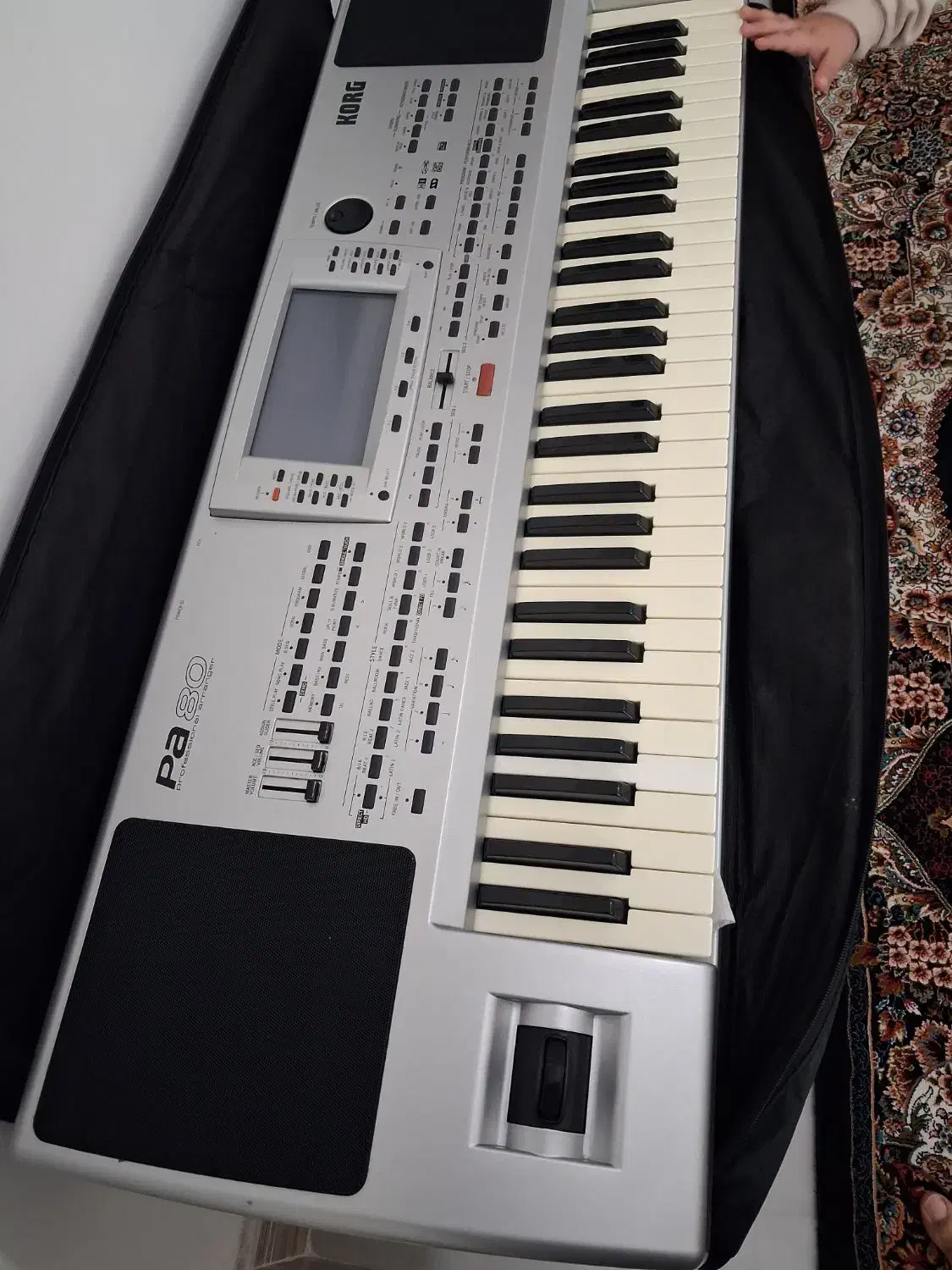 ارگ pa80|پیانو، کیبورد، آکاردئون|چوبر, |دیوار