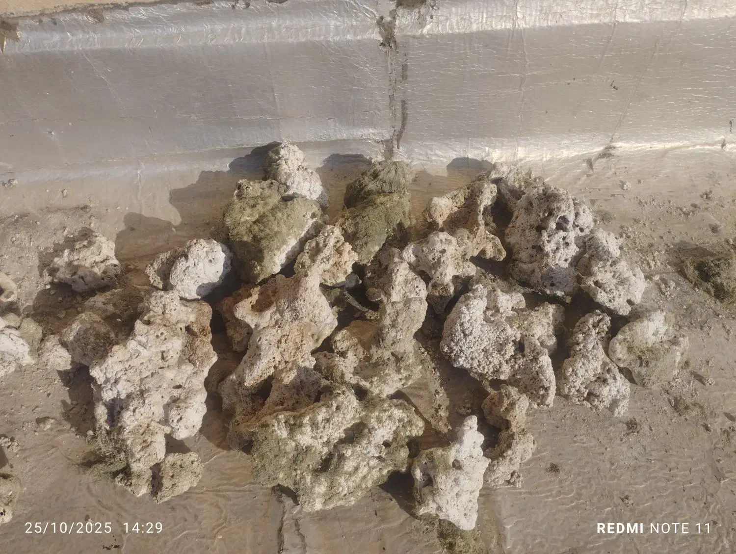 لوازم آکواریوم ماهی|ماهی|تهران, ایرانشهر|دیوار