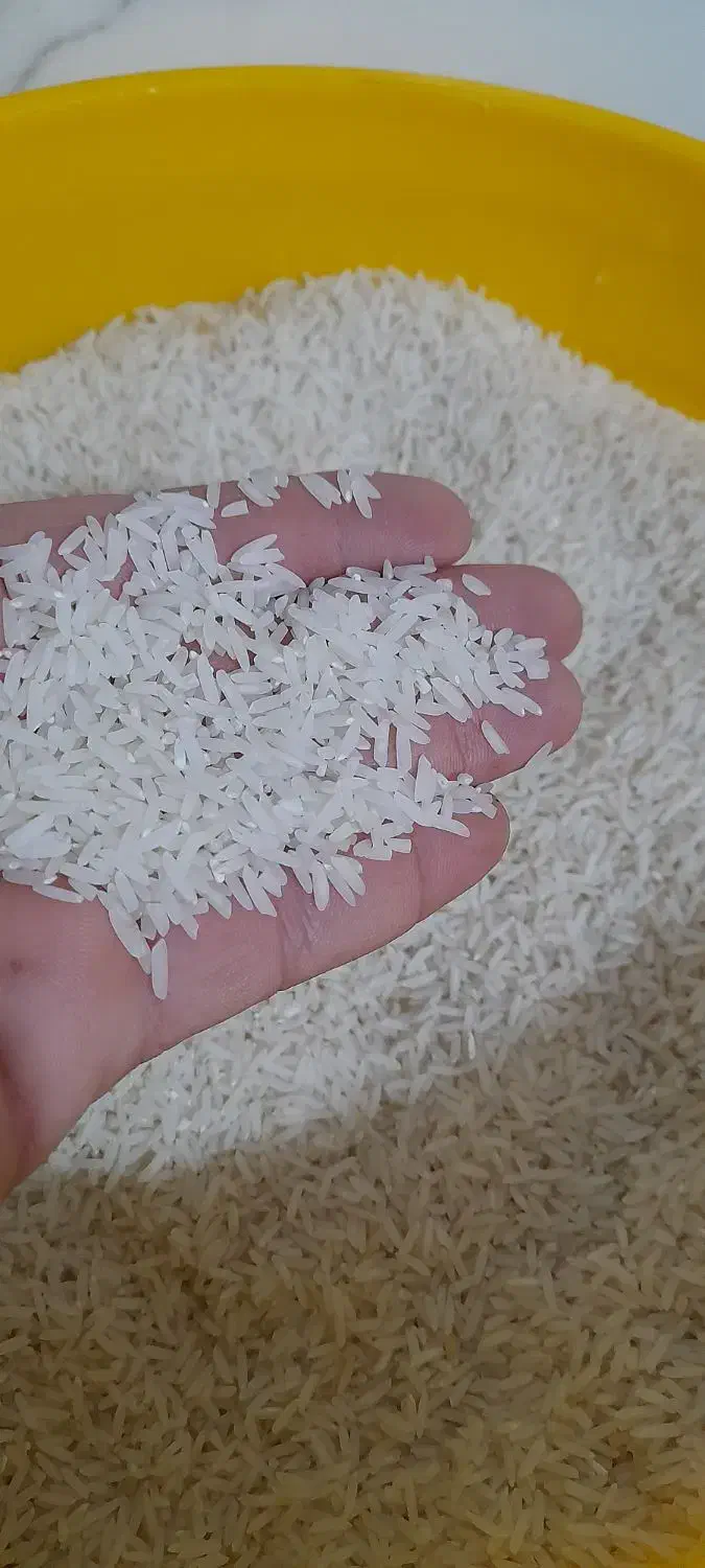 برنج طارم هاشمی|خوردنی و آشامیدنی|ساری, |دیوار