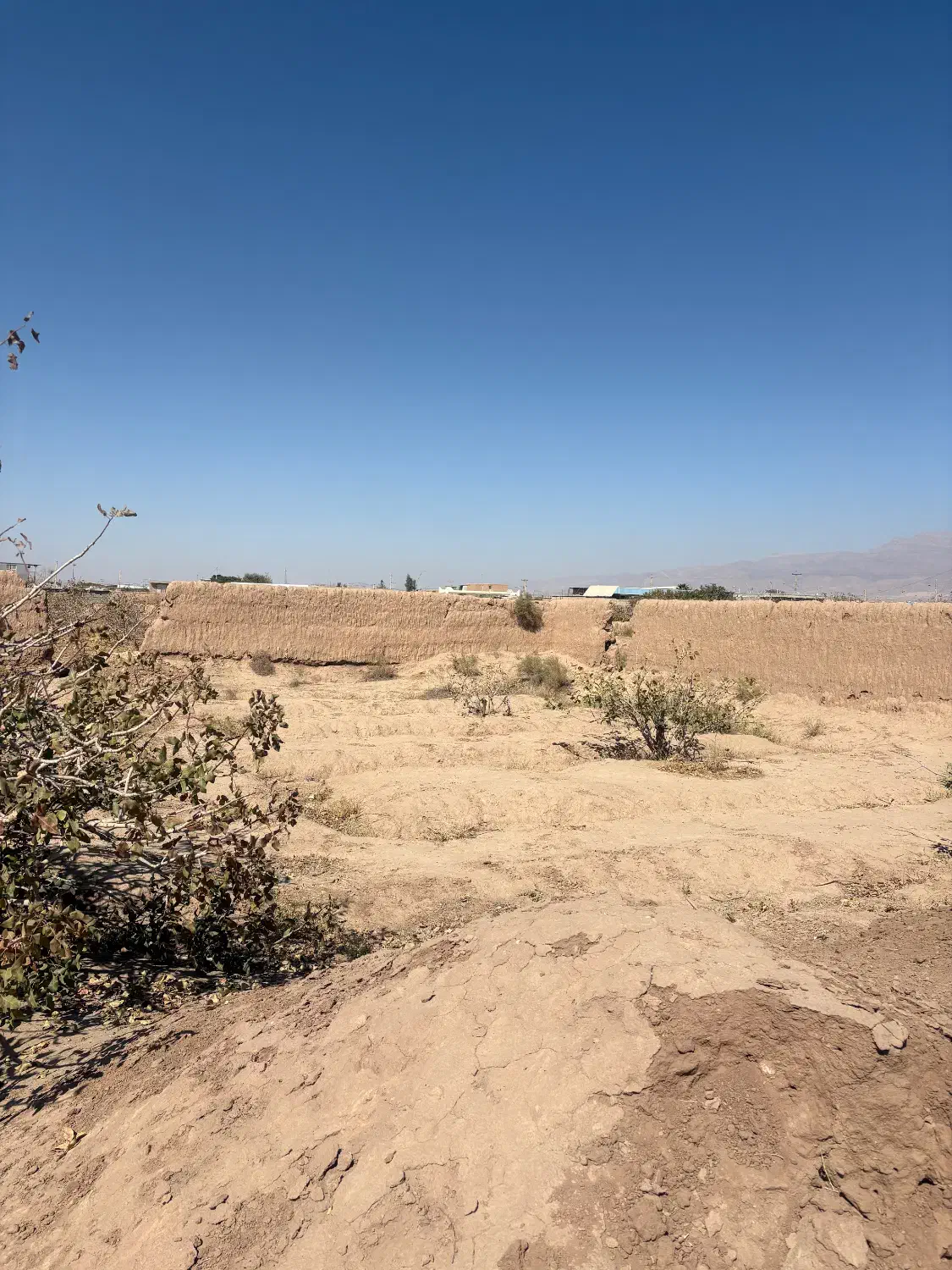زمین پسته ای در محدوده فتح اباد شهرستان زرند|فروش زمین و ملک کلنگی|زرند, |دیوار