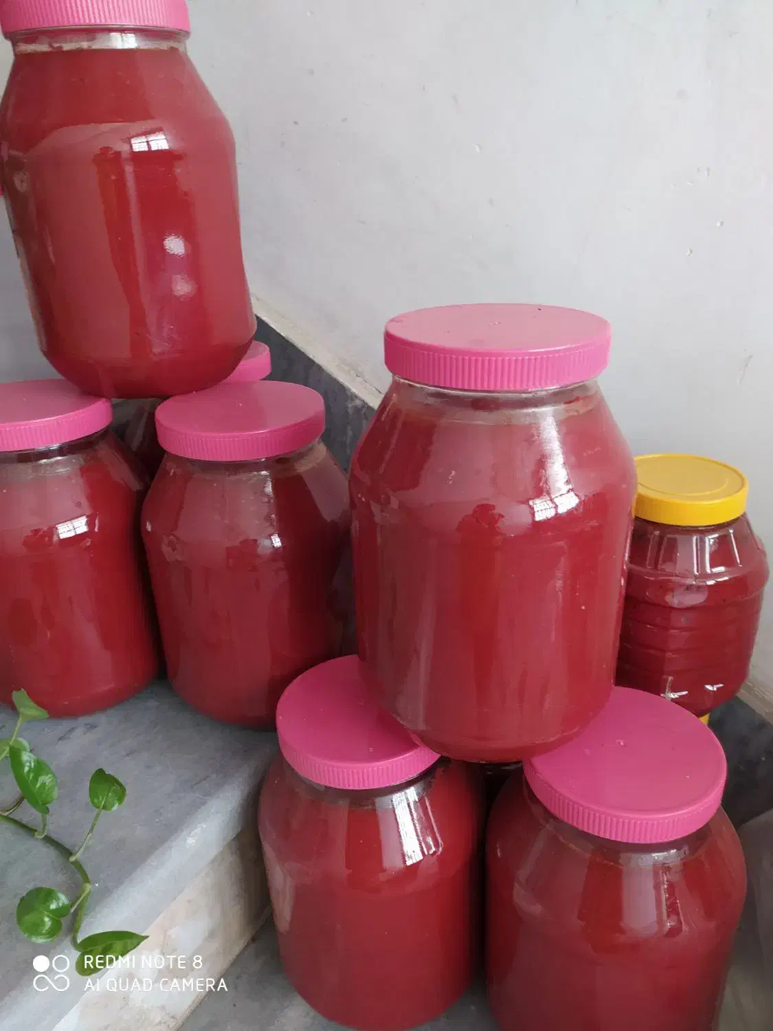 رب گوجه سفت و قرمز|خوردنی و آشامیدنی|قم, آزادگان|دیوار