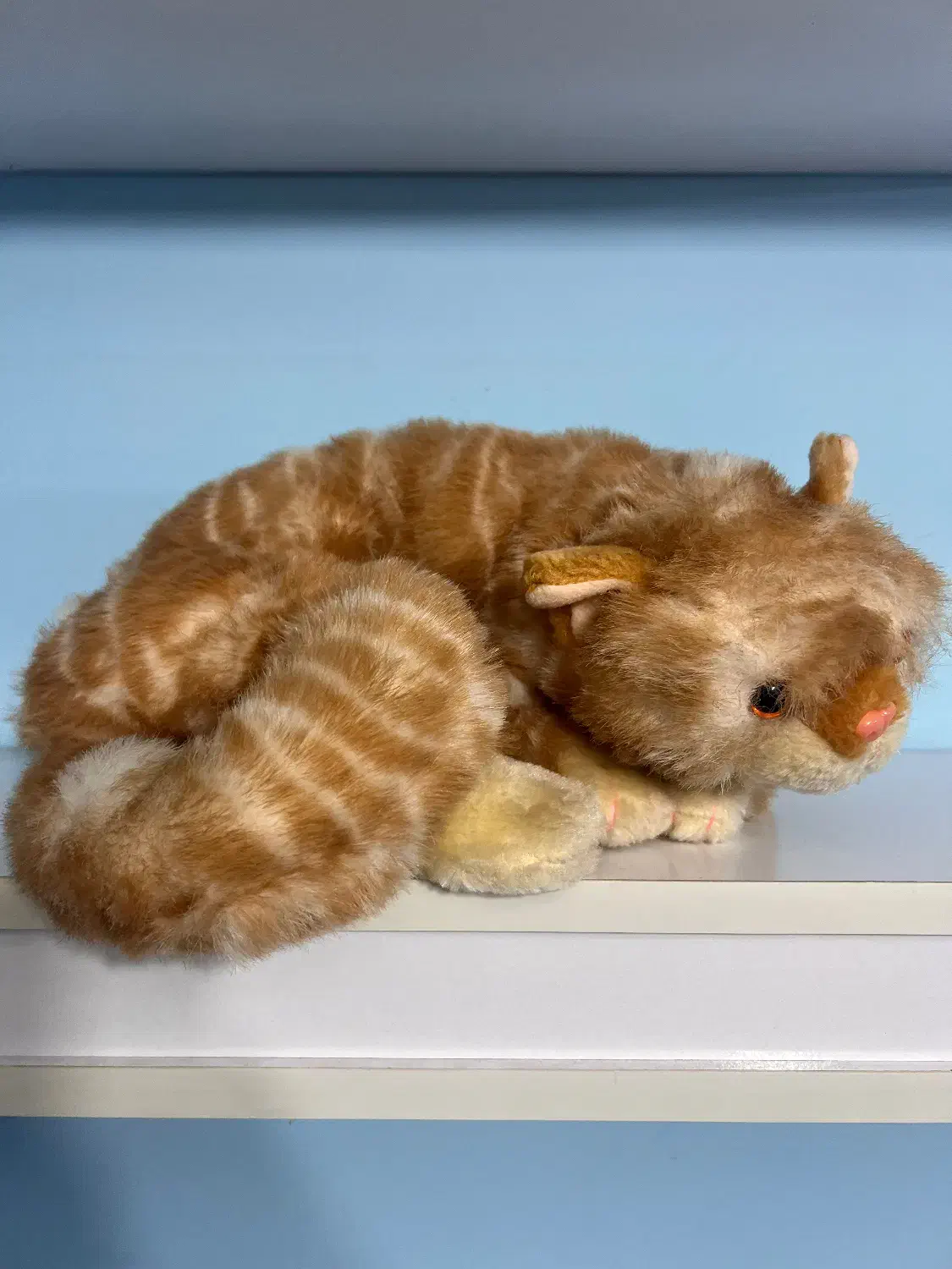 عروسک|اسباب‌بازی بچه|رشت, گلسار|دیوار