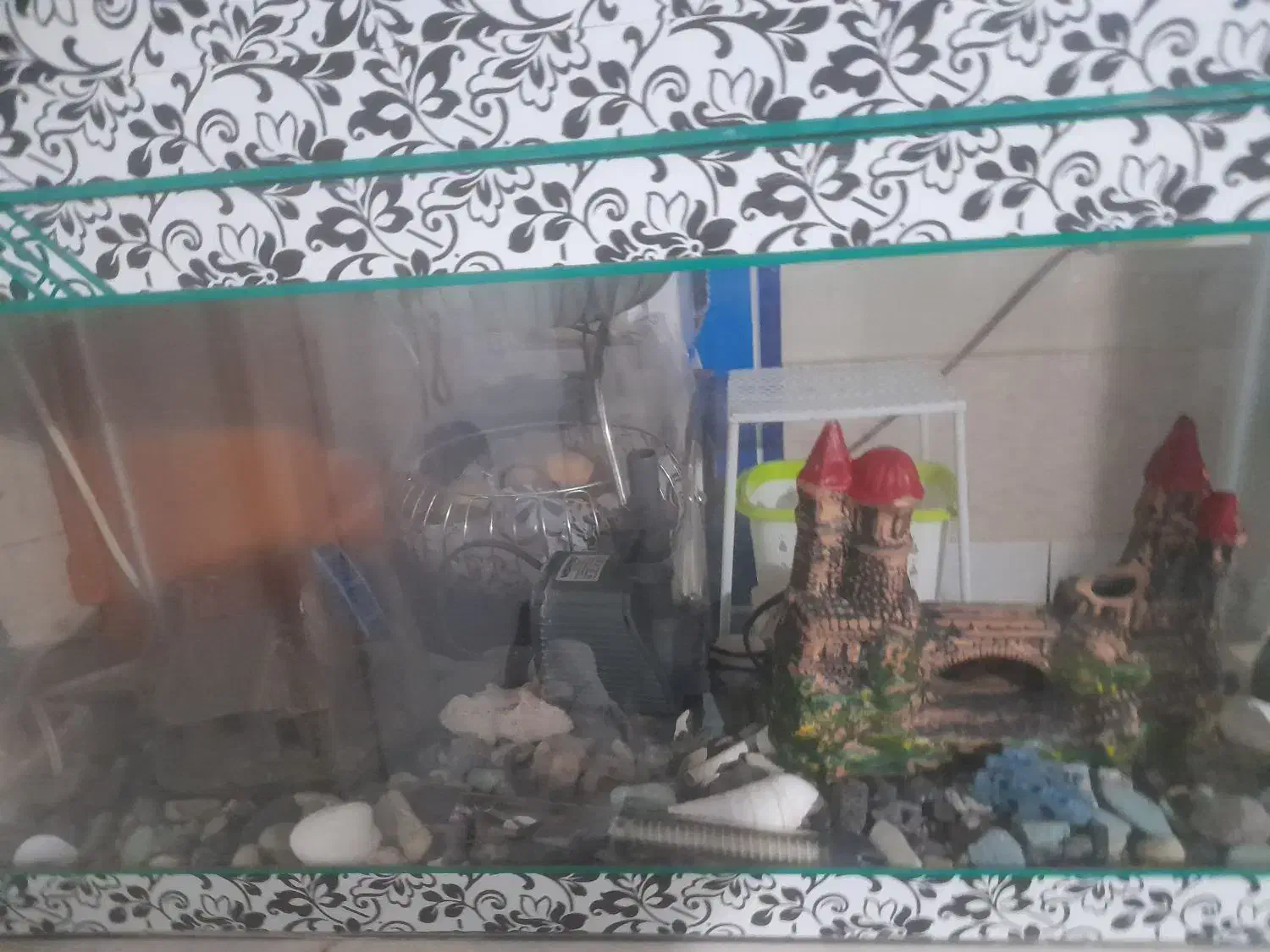 آکواریوم|ماهی|تاکستان, |دیوار