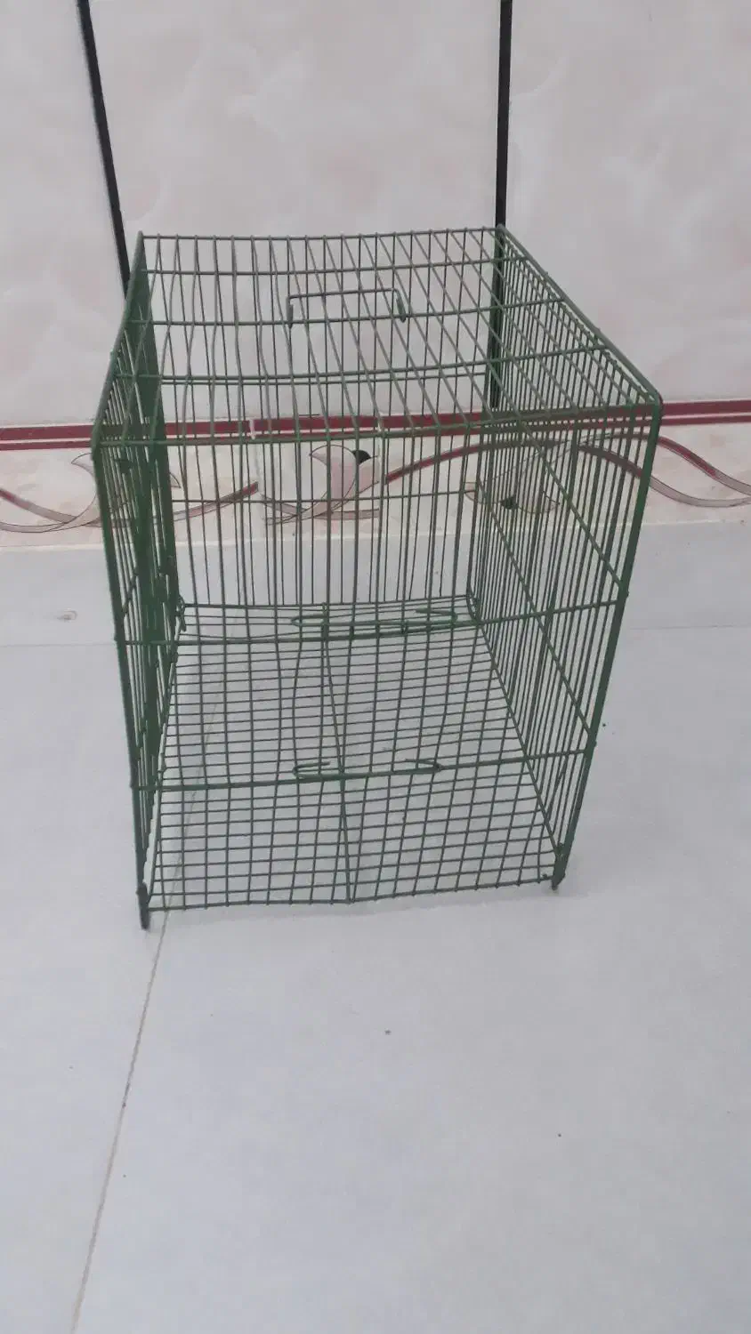 قفس نو|لوازم جانبی حیوانات|گنبد کاووس, |دیوار