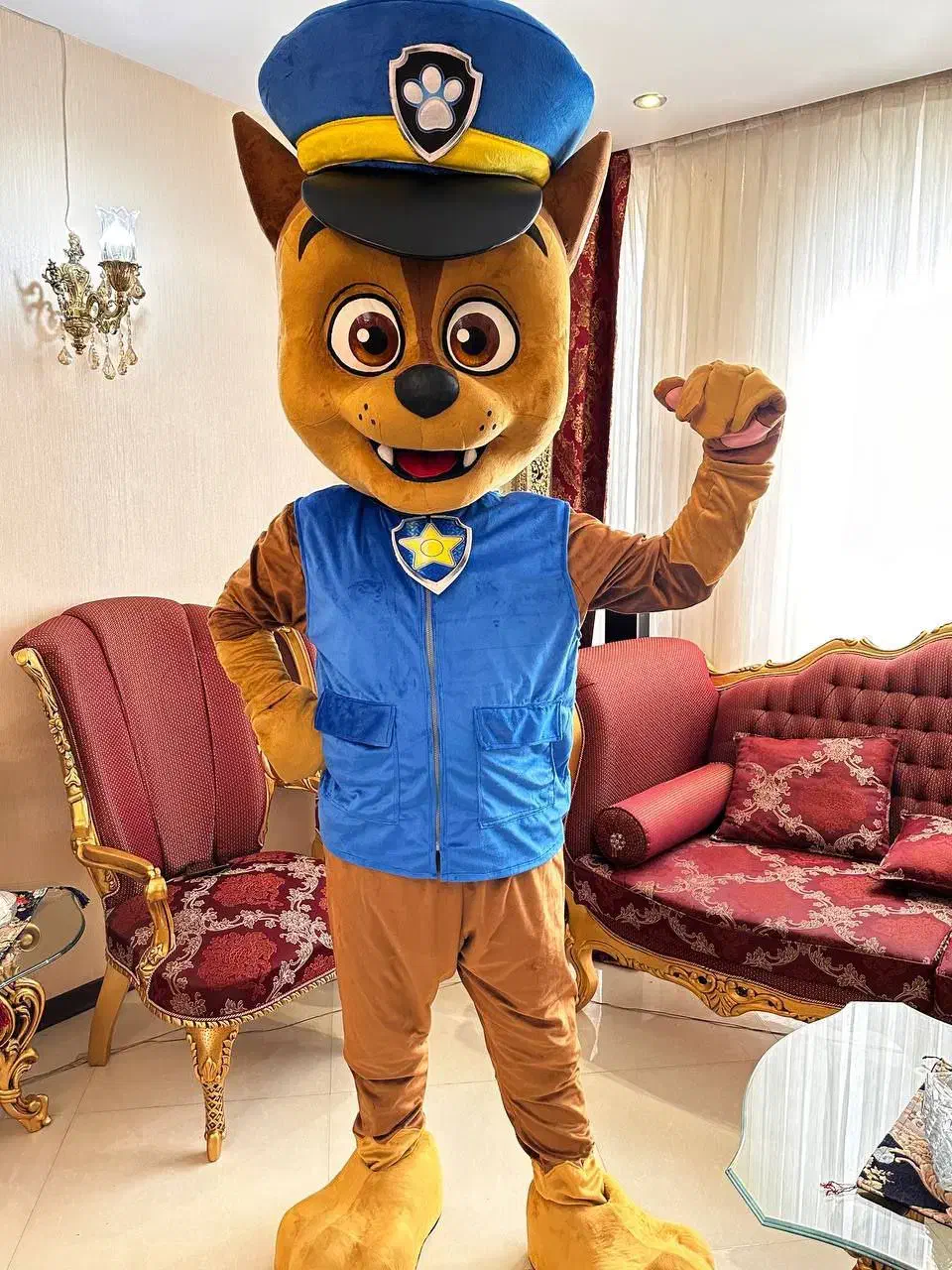 کرایه صندلی تاشو و تن پوش عروسکی و برگزاری مجالس|خدمات پذیرایی، مراسم|مشهد, کوثر|دیوار