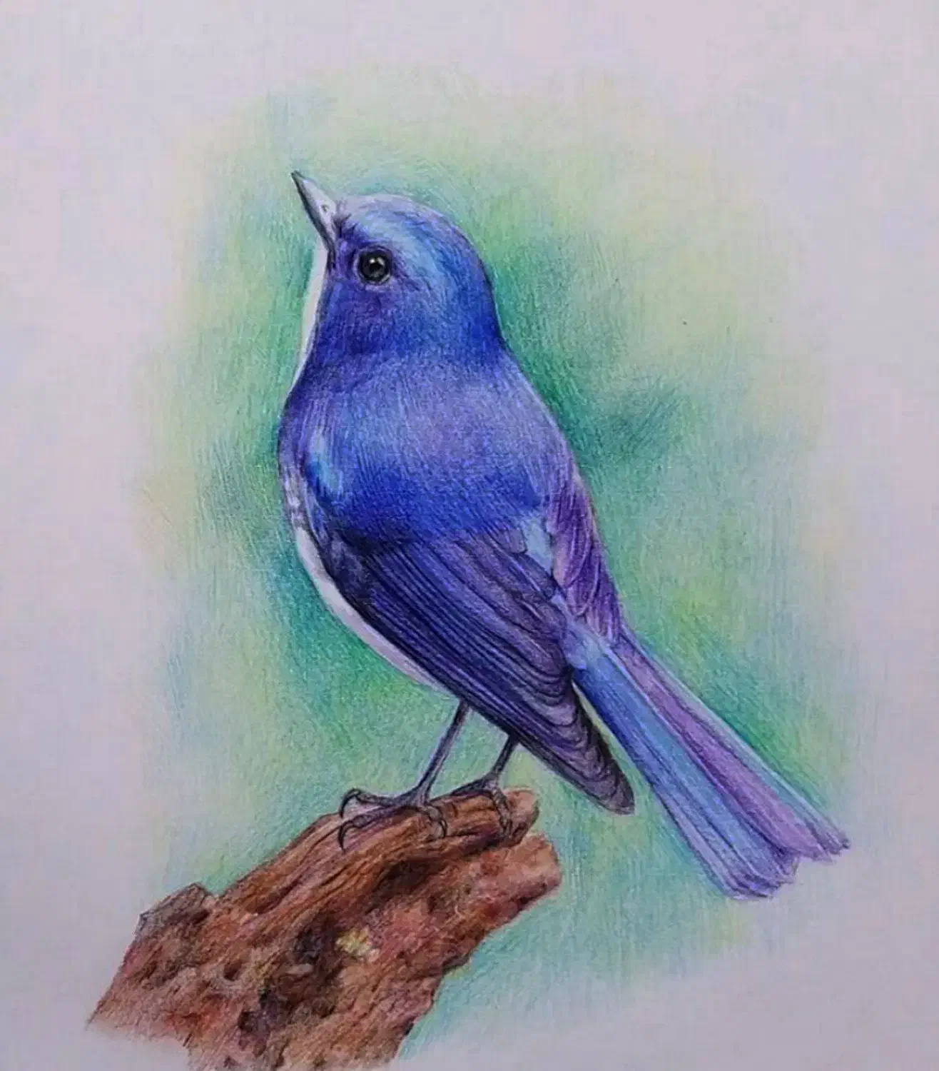 برگزاری کلاس های طراحی چهره مداد رنگی|خدمات آموزشی|داراب, |دیوار