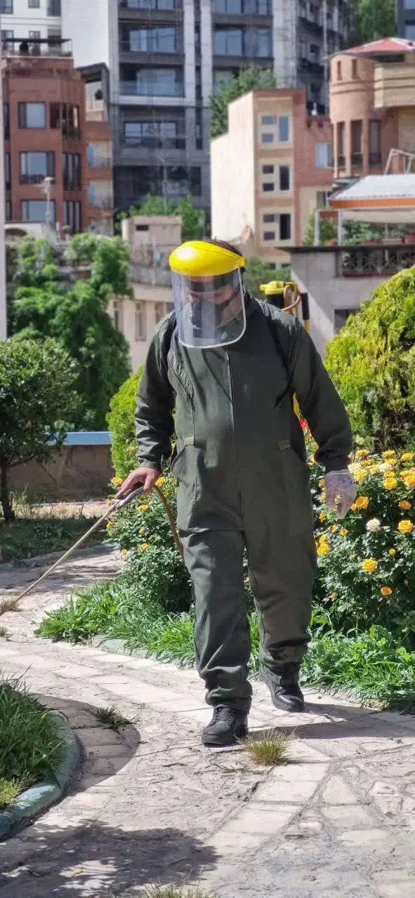 سمپاشی سوسک کابینت .سوسک بزرگ .ساس و حشرات موذی|خدمات نظافت|تهران, گلستان (شهرک راه آهن)|دیوار