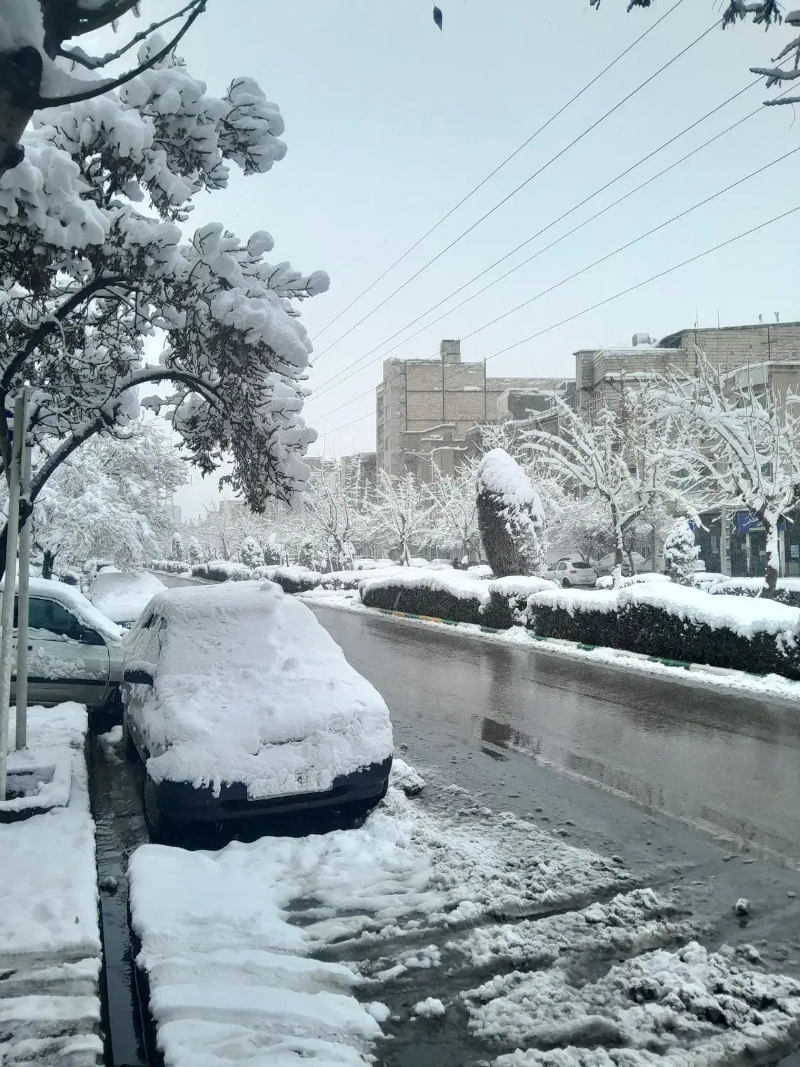 کیف مدارک|اشیا|مشهد, سمزقند|دیوار