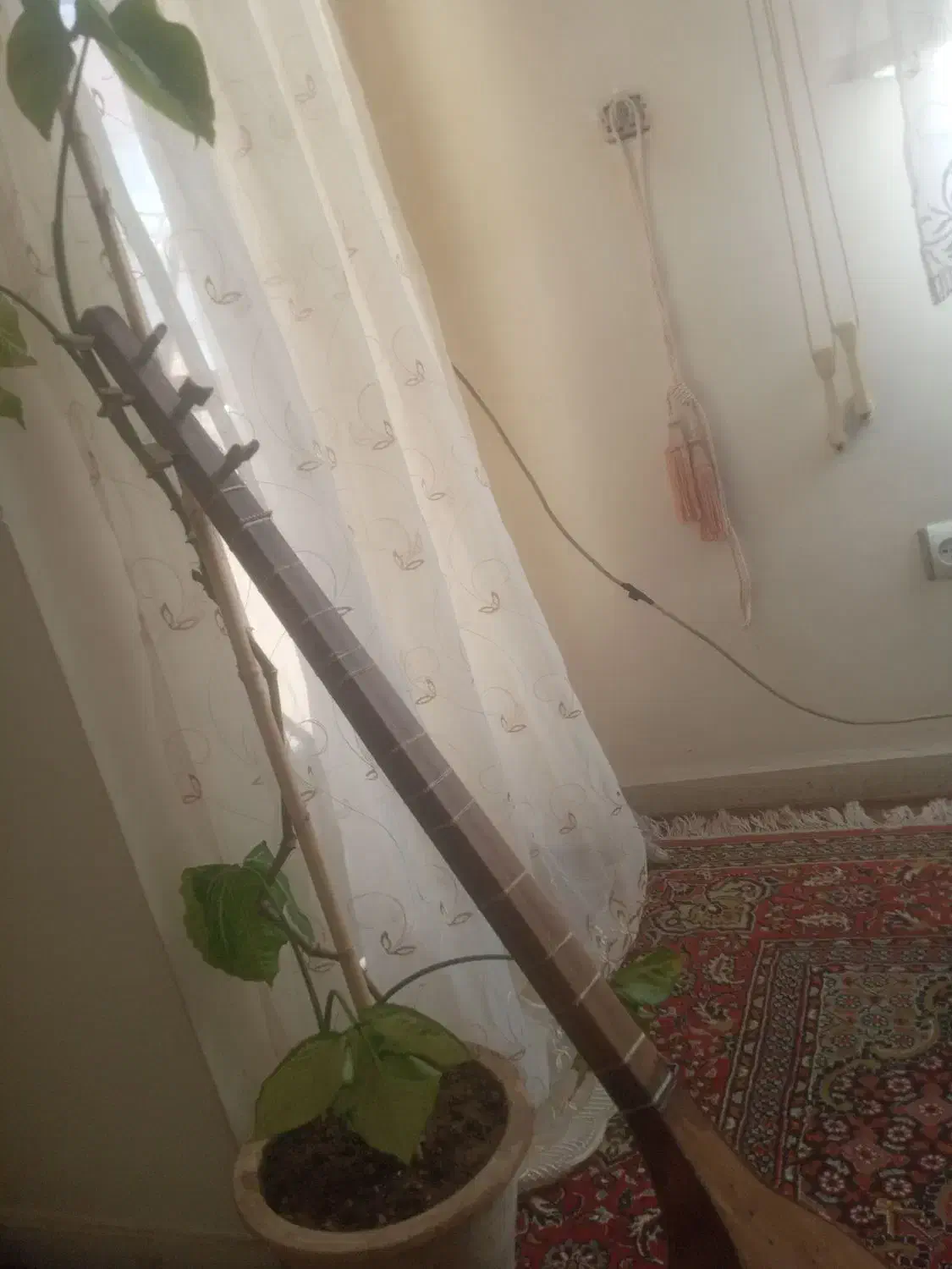 سازشش تار|سازهای سنتی|تبریز, |دیوار