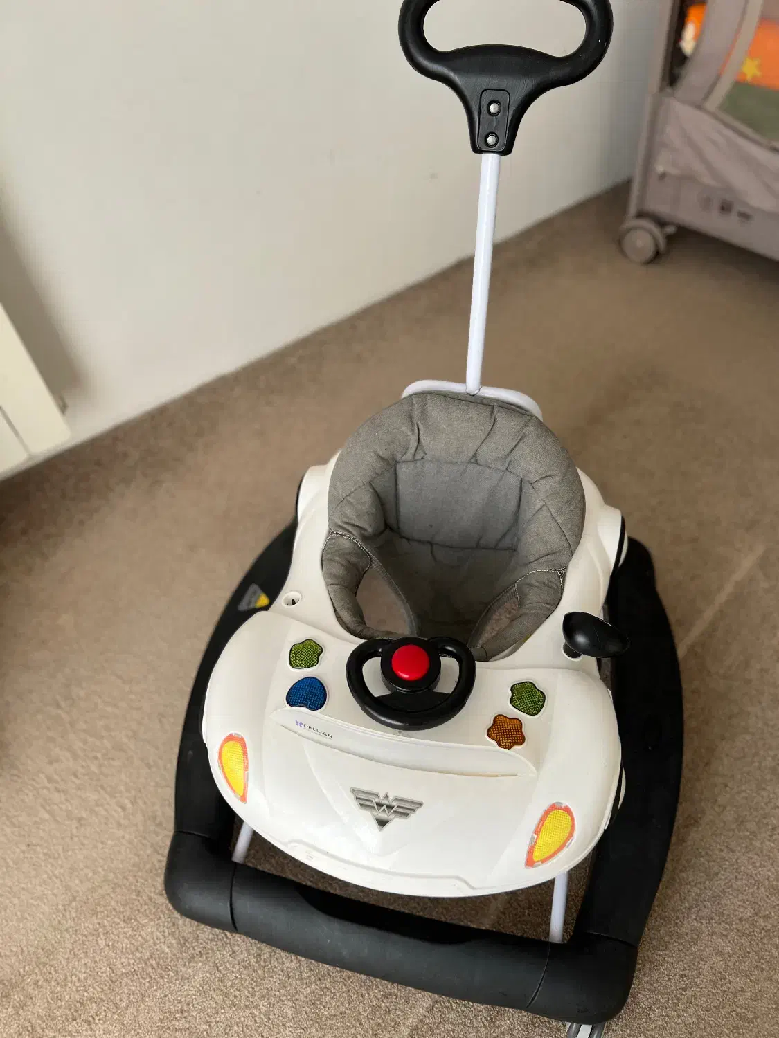 روروئک دلیجان|کالسکه و لوازم جانبی|بندر انزلی, متروپل|دیوار