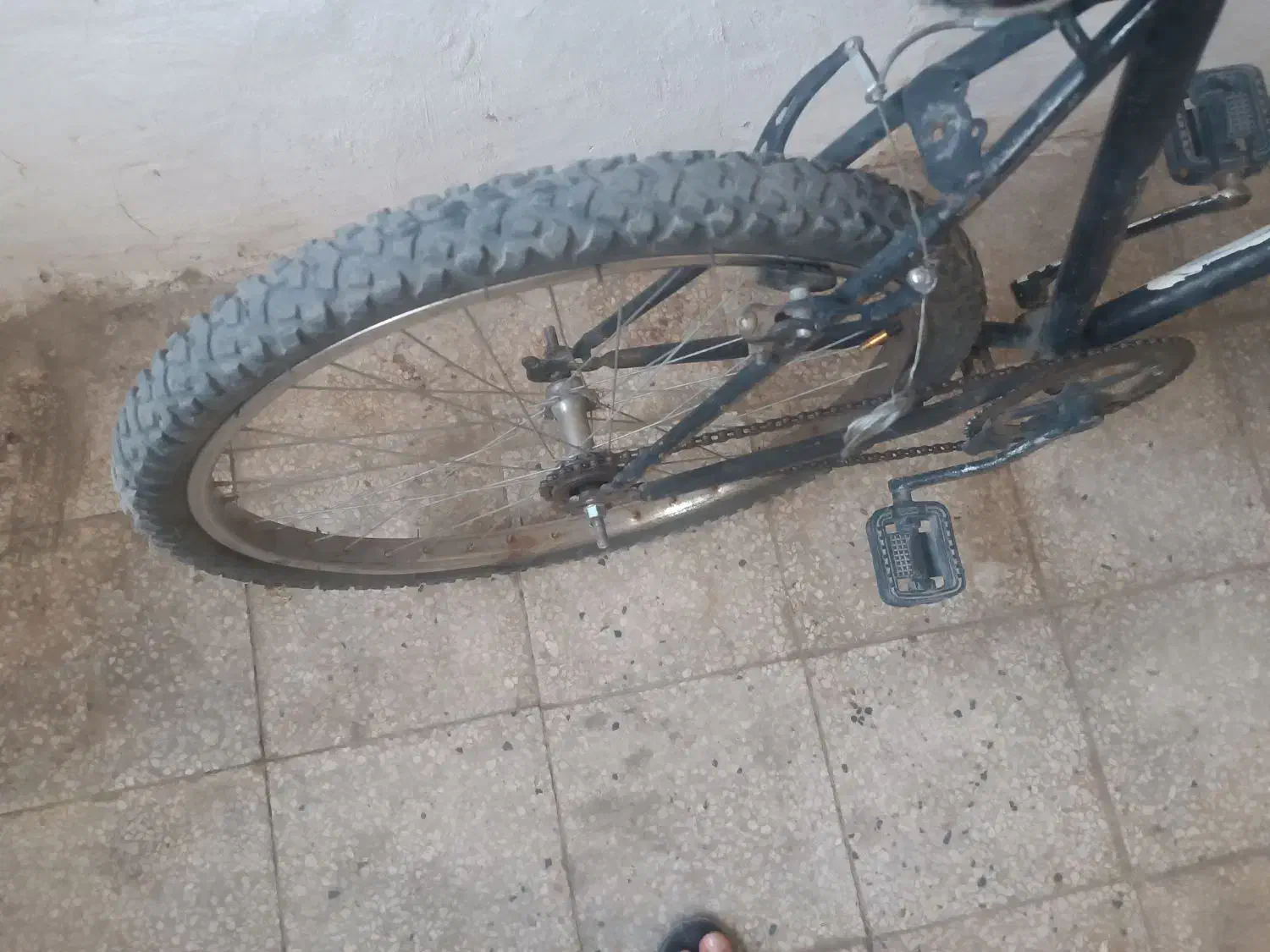 دوچرخه دماوند|دوچرخه، اسکیت، اسکوتر|تربت‌حیدریه, فردوسی جنوبی|دیوار