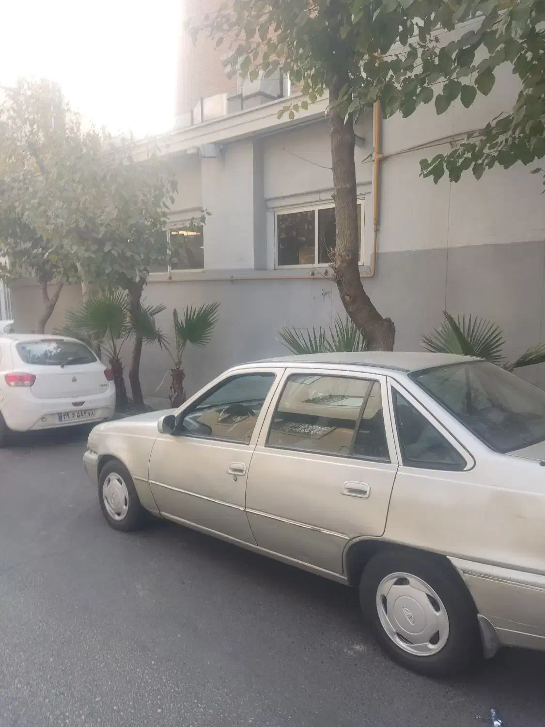 دوو سیلو مدل 1381 شاسی پلمپ|خودرو سواری و وانت|تهران, میدان ولیعصر|دیوار