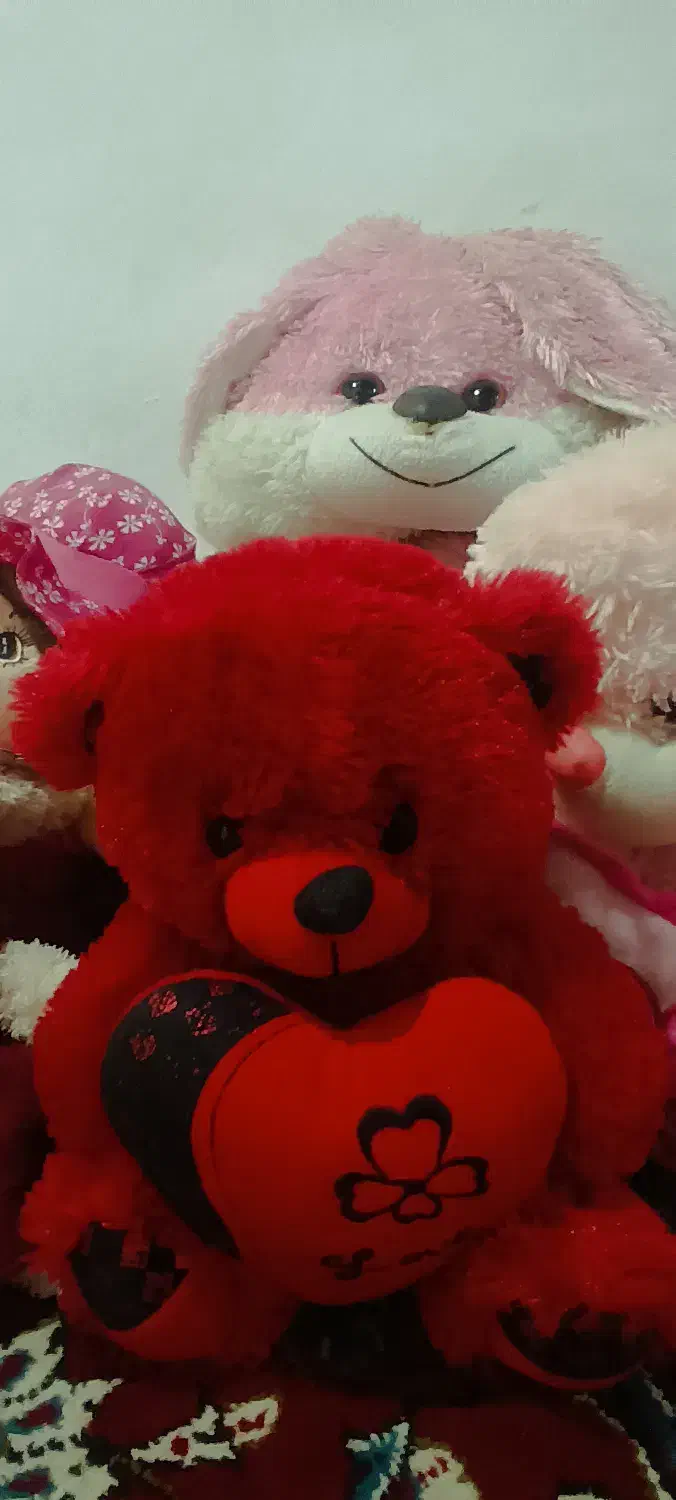 کیف مدارس و عروسک و گیتار|گیتار، بیس، امپلیفایر|بندر انزلی, جفرود پایین|دیوار