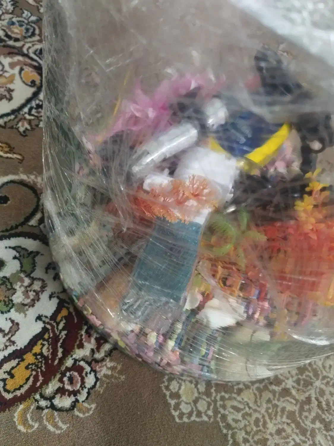 اکفاریوم گرد استوانه ای|لوازم جانبی حیوانات|فولادشهر, مسکن مهر فولادشهر|دیوار