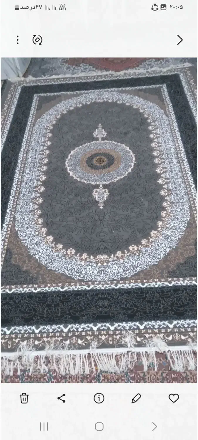 فروش دوعددفرش شش متری نواصلن استفاده نشده|فرش|رشت, آب آسیاب|دیوار