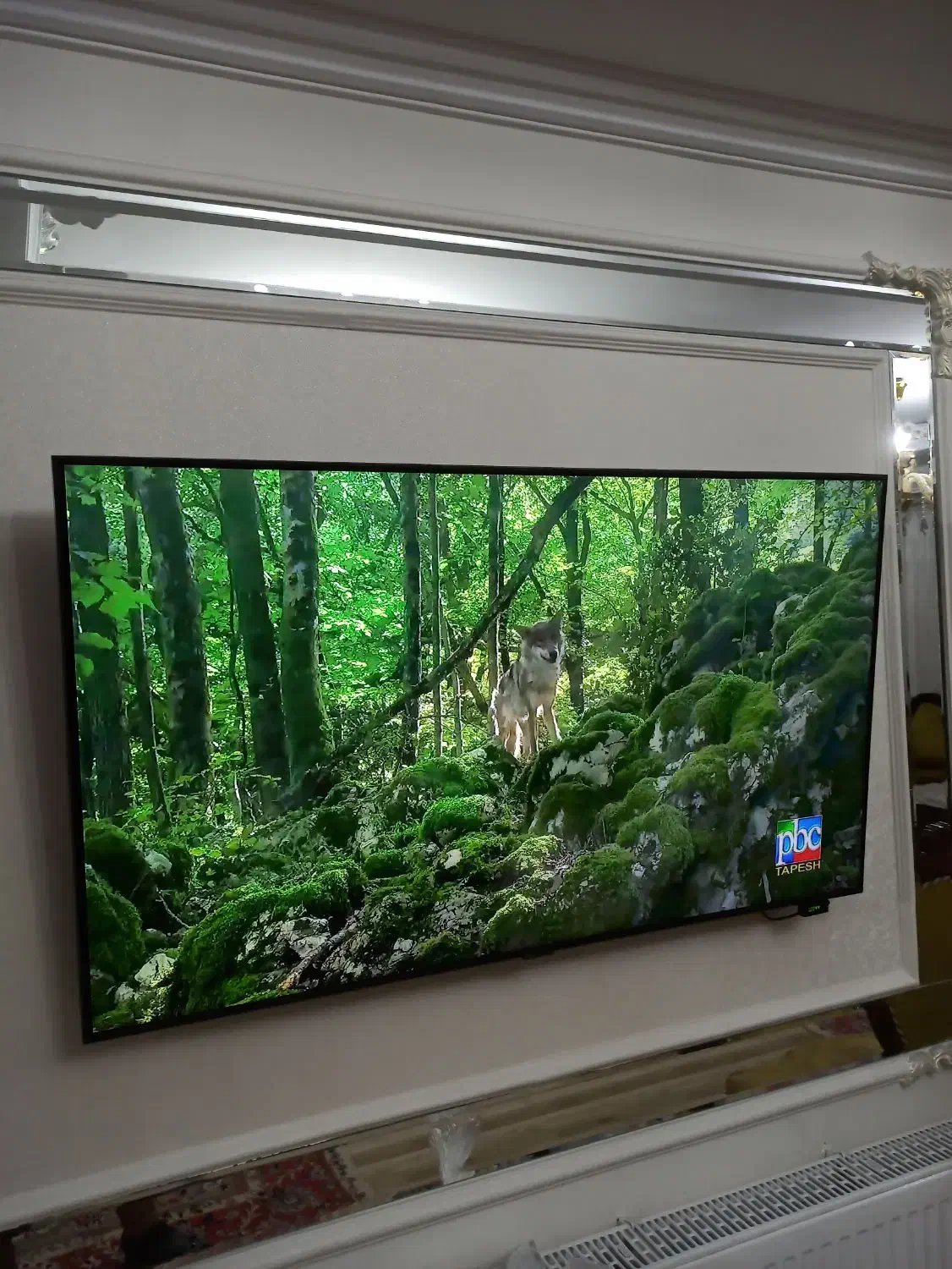 تلویزیون 50 اینچ سامسونگ|تلویزیون و پروژکتور|تبریز, |دیوار