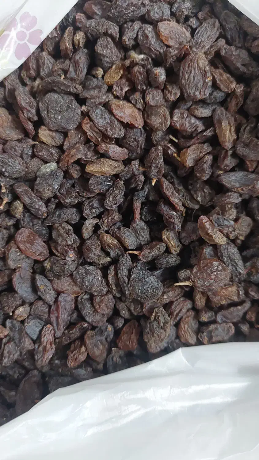 کشمش آفتابی شهرضا تازه امسالی|خوردنی و آشامیدنی|اصفهان, لنبان|دیوار