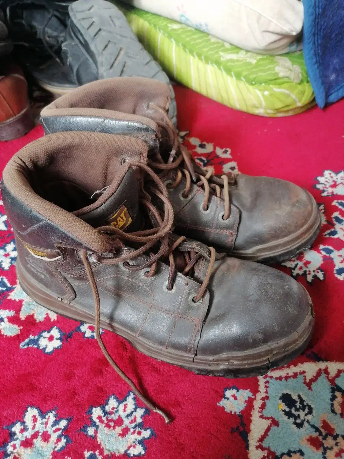 کفش|کیف، کفش، کمربند|بیرجند, |دیوار