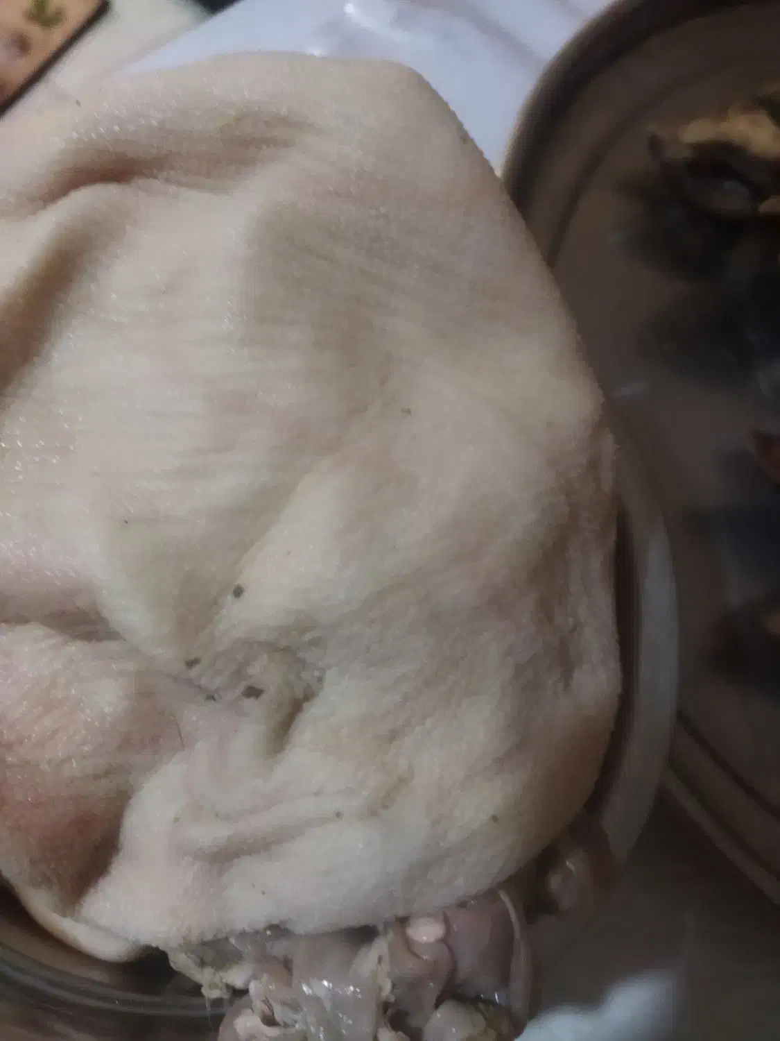 کله پاچه شیشک باسرابی|خوردنی و آشامیدنی|مسجد سلیمان, |دیوار