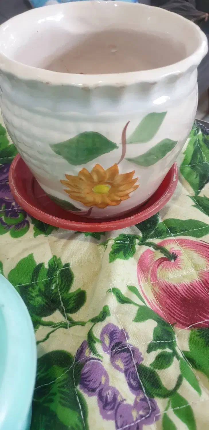 گلدان|گل و گیاه طبیعی|ری, فیروزآبادی|دیوار