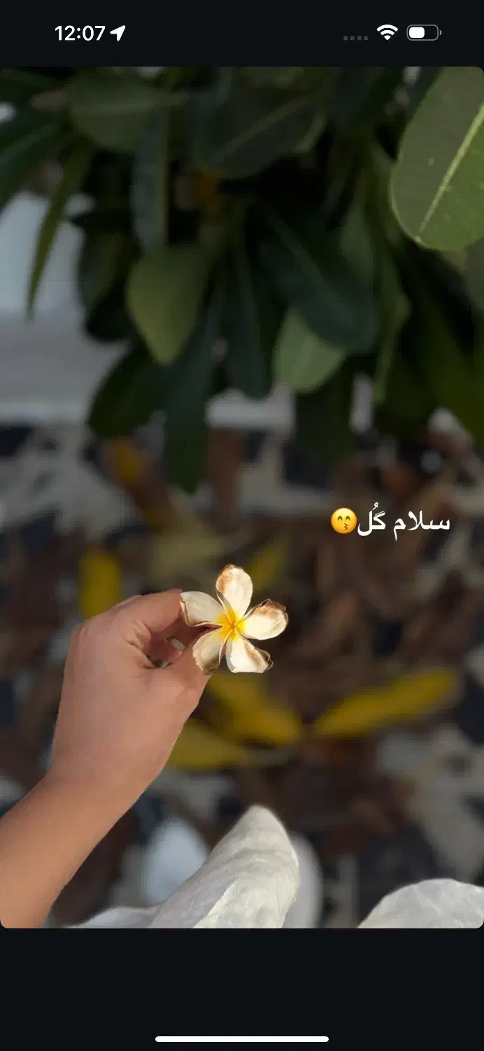 اگهی استخدام ادمین حضوری|استخدام رایانه و فناوری اطلاعات|قشم, |دیوار