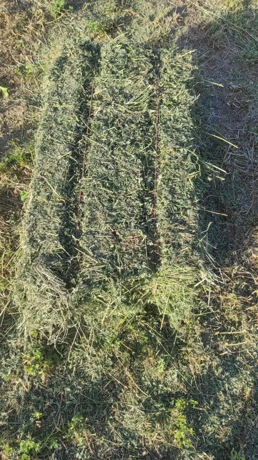 یونجه|لوازم جانبی حیوانات|خرم‌آباد, |دیوار