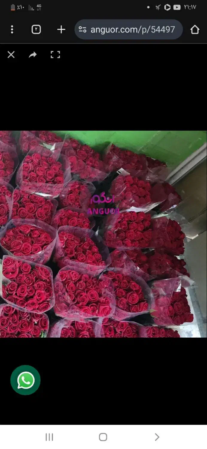 فروش گل عمده|عمده‌فروشی|سرعین, |دیوار