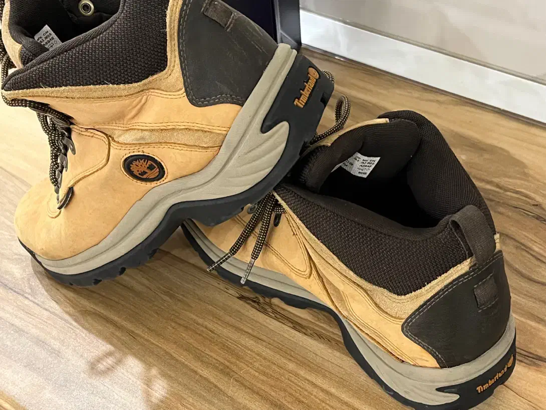 کتونی|کیف، کفش، کمربند|تهران, پرستار|دیوار