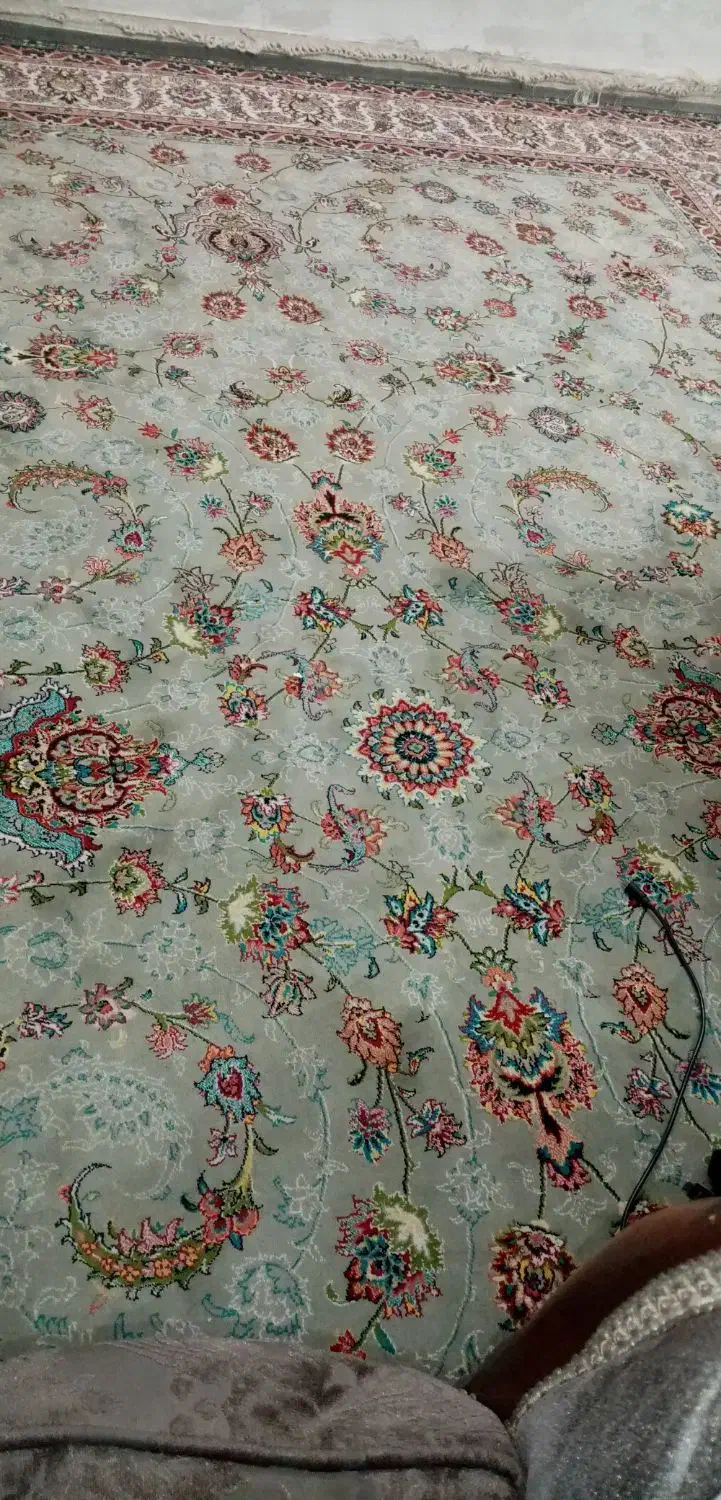 فرش|فرش|مشهد, شهید بصیر|دیوار