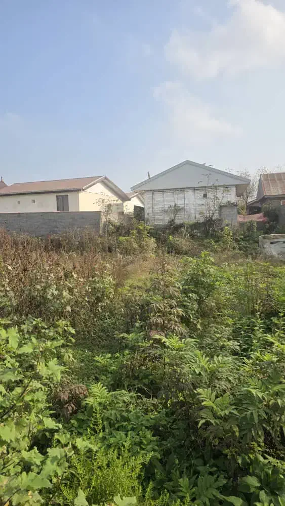 کدباران/۳۰۰متر زمین مسکونی گیلوا قیمت کل ۱،۱۳۰|فروش زمین و ملک کلنگی|کوچصفهان, |دیوار