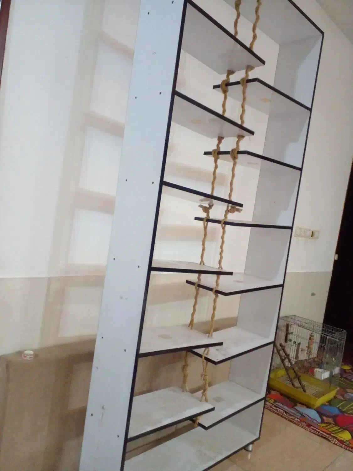 دکور ام دی اف نو|کتابخانه، شلف، قفسه‌های دیواری|شیراز, گویم|دیوار