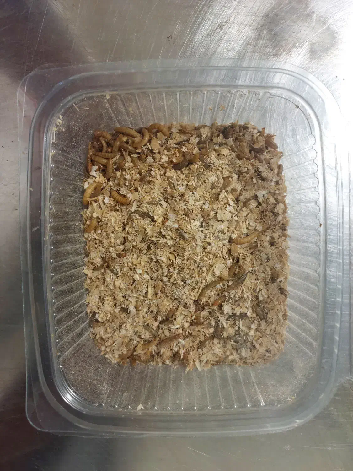 بستههای میلورم زنده|لوازم جانبی حیوانات|اهواز, دانشگاه چمران|دیوار