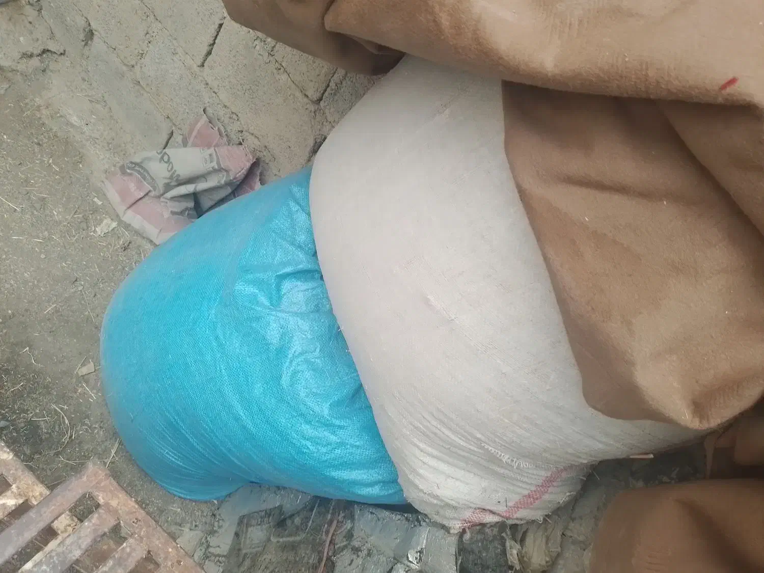 الف لوبیا|حیوانات مزرعه|سنندج, |دیوار