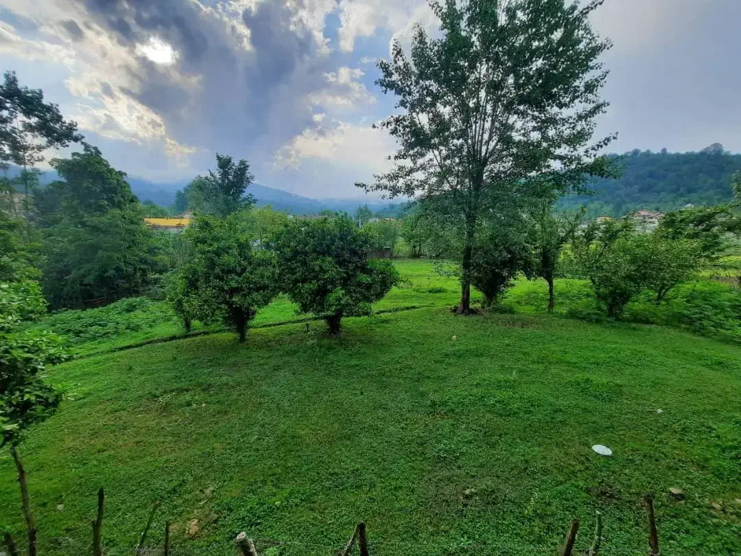 زمین سندار تفکیک شده در ماکلوان|فروش زمین و ملک کلنگی|ماکلوان, |دیوار