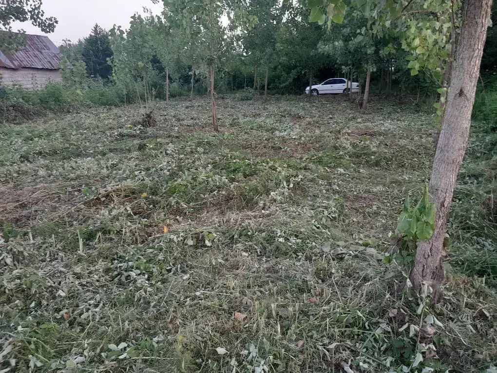 زمین مسکونی داخل بافت آماده ساخت|فروش زمین و ملک کلنگی|هشتگرد, گلسار|دیوار