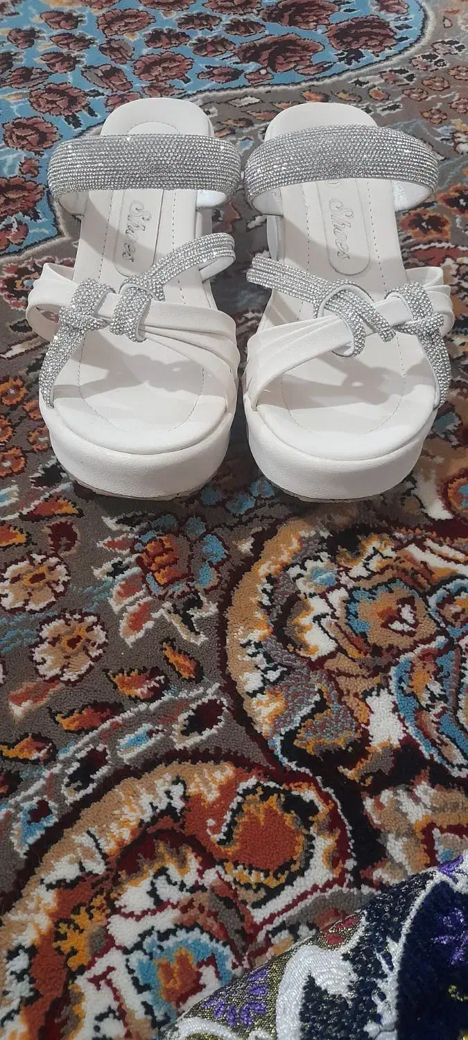 دمپایی مجلسی|کیف، کفش، کمربند|انبارآلوم, |دیوار