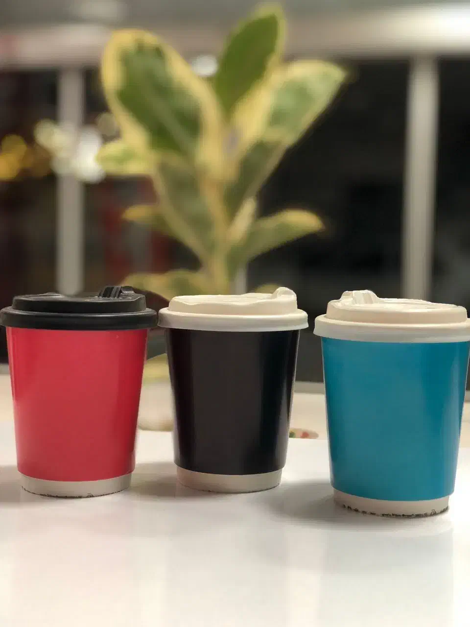 لیوان کاغذی|ظروف نگهدارنده، پلاستیکی، یکبارمصرف|باغستان, |دیوار