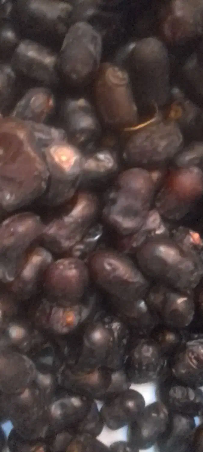 فروش خرما،سبزی آماده خانگی با بهترین کیفیت|خوردنی و آشامیدنی|مشهد, حجت|دیوار