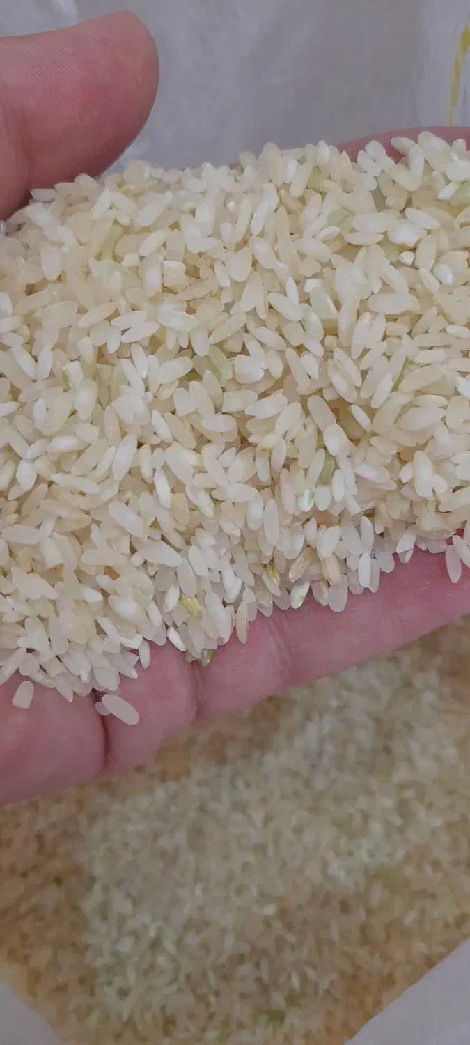 برنج لنجان معطر         کالابرگ  اصفهان کارت  آزاد|خوردنی و آشامیدنی|اصفهان, رزمندگان|دیوار