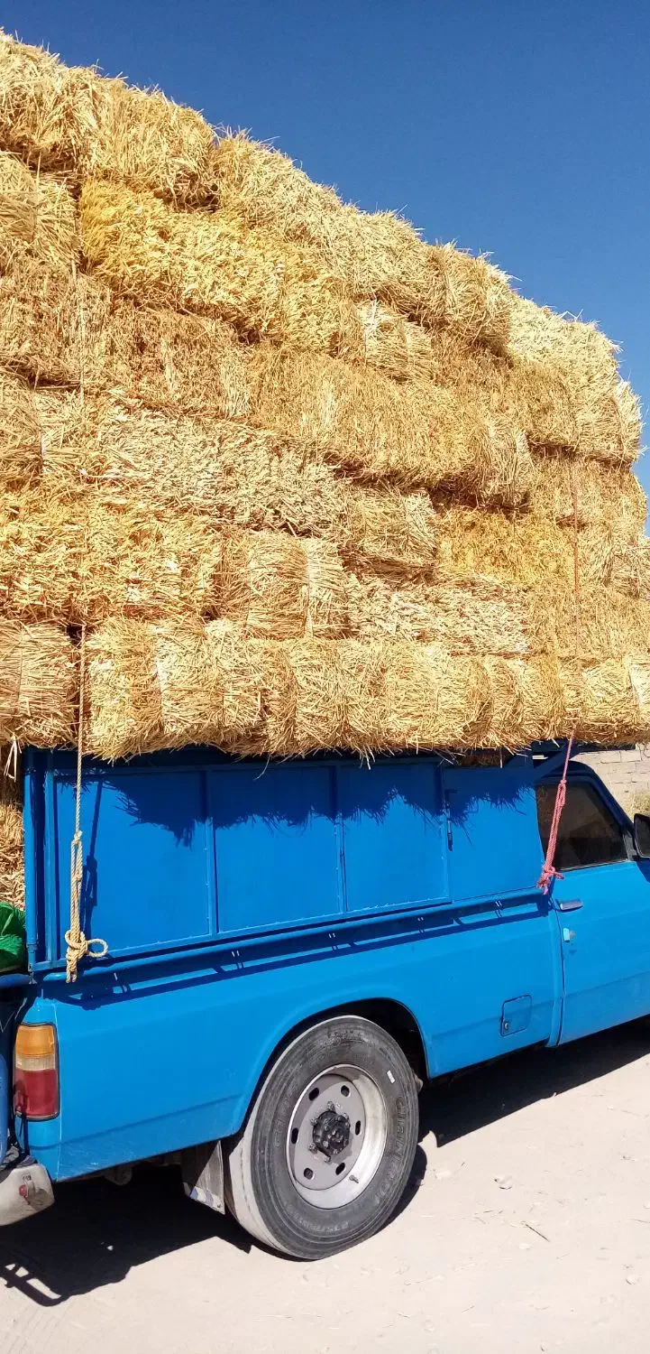 کاه پرس|لوازم جانبی حیوانات|ارسنجان, |دیوار