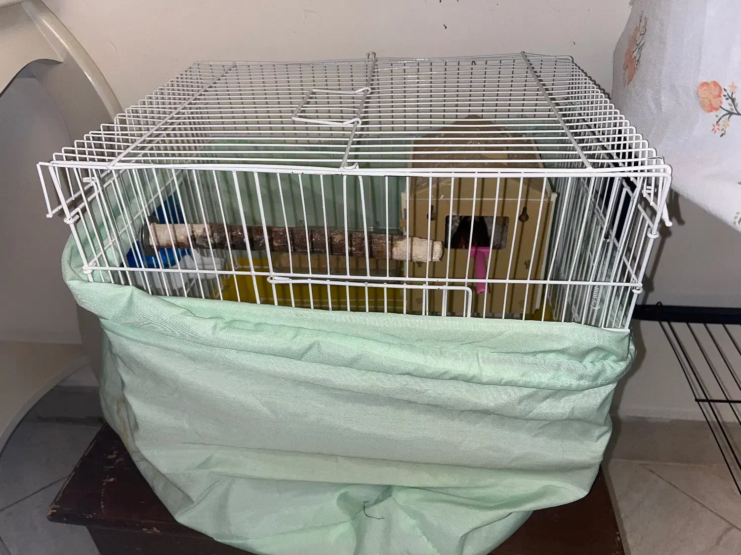 فروش فنچ|پرنده|محمدشهر, ولدآباد|دیوار