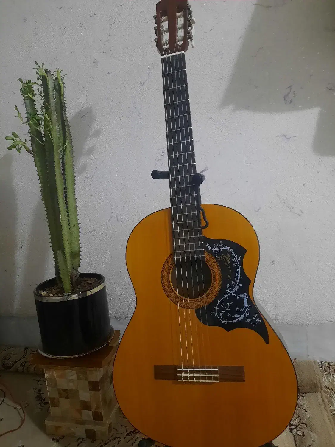 گیتار درحد نو c40 اندونزی|گیتار، بیس، امپلیفایر|قم, دانش|دیوار