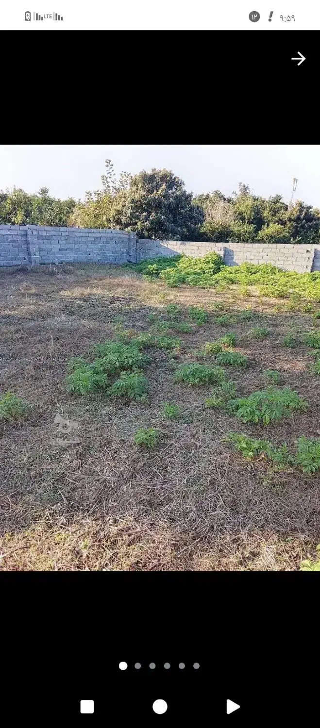 زمین فروشی هم تجاری مسکونی هم کشاورزی|فروش زمین و ملک کلنگی|ارطه, |دیوار