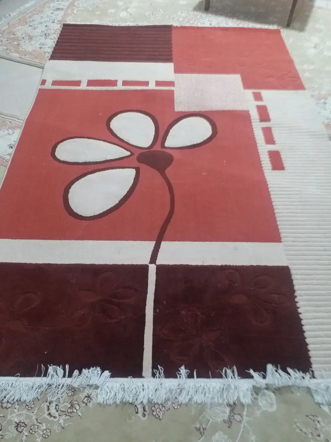 فرش ۶ متری|فرش|مشهد, تربیت (صدف)|دیوار