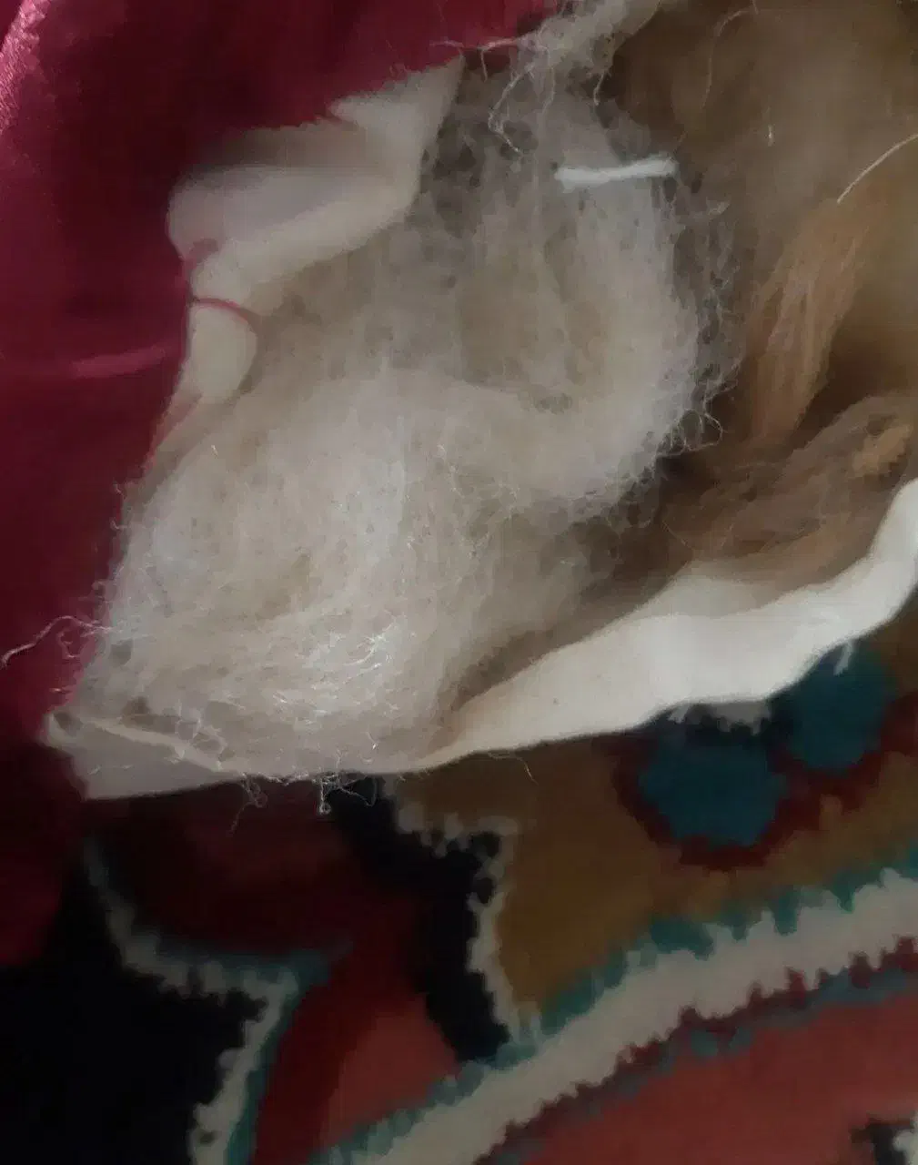 سه عدد تشک|رختخواب، بالش، پتو|نسیمشهر, |دیوار