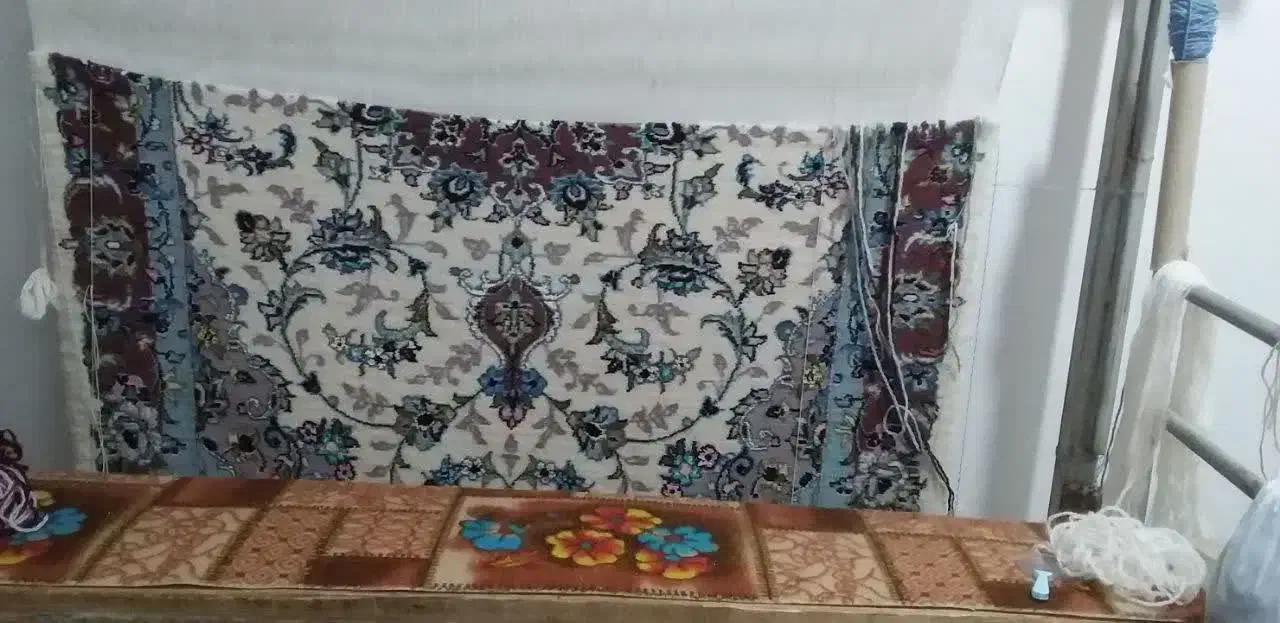 قالی دستبافت|فرش|آران و بیدگل, |دیوار