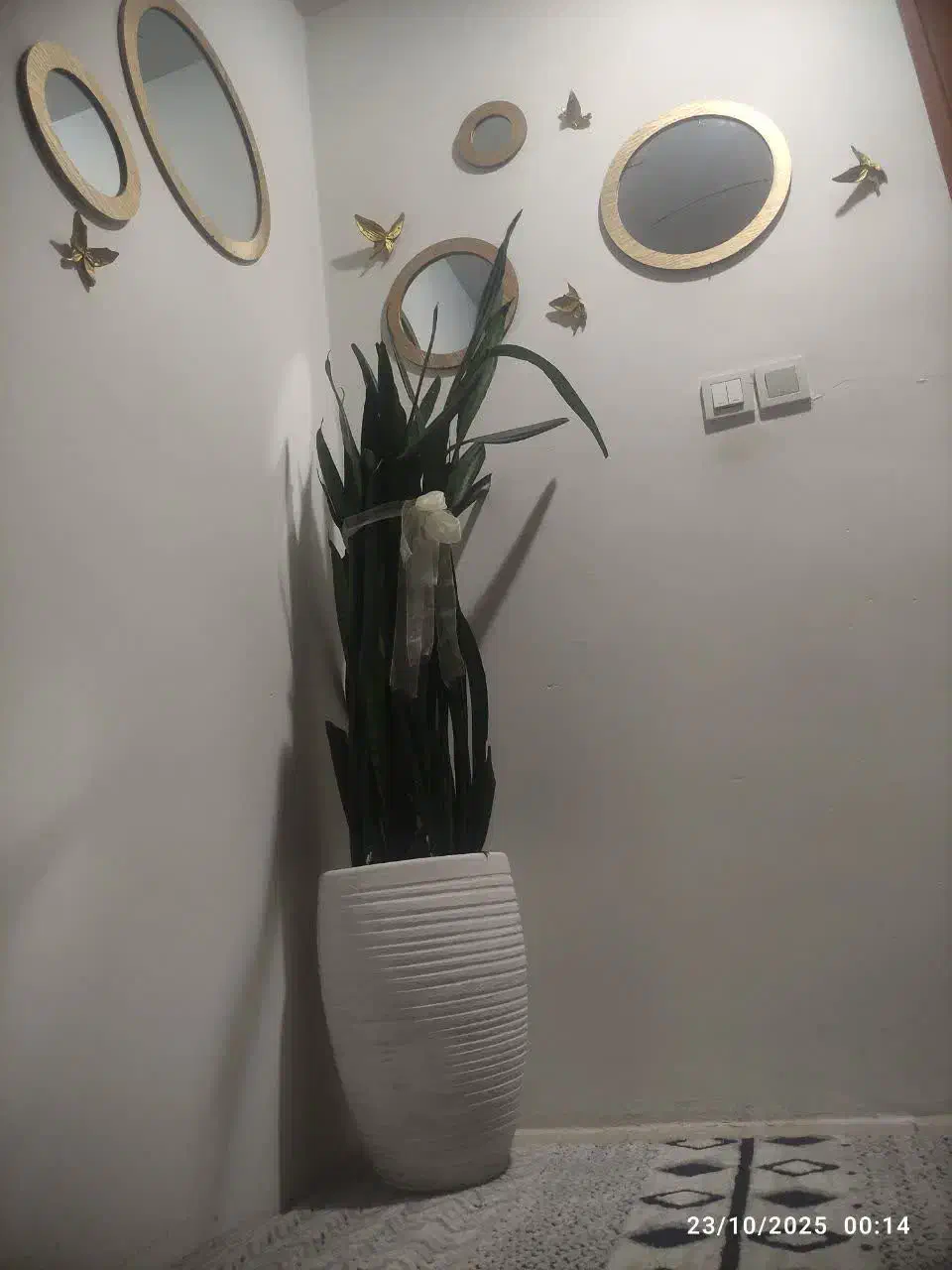 وسایل ورزشی|فرش|گلبهار, شهر جدید گلبهار|دیوار