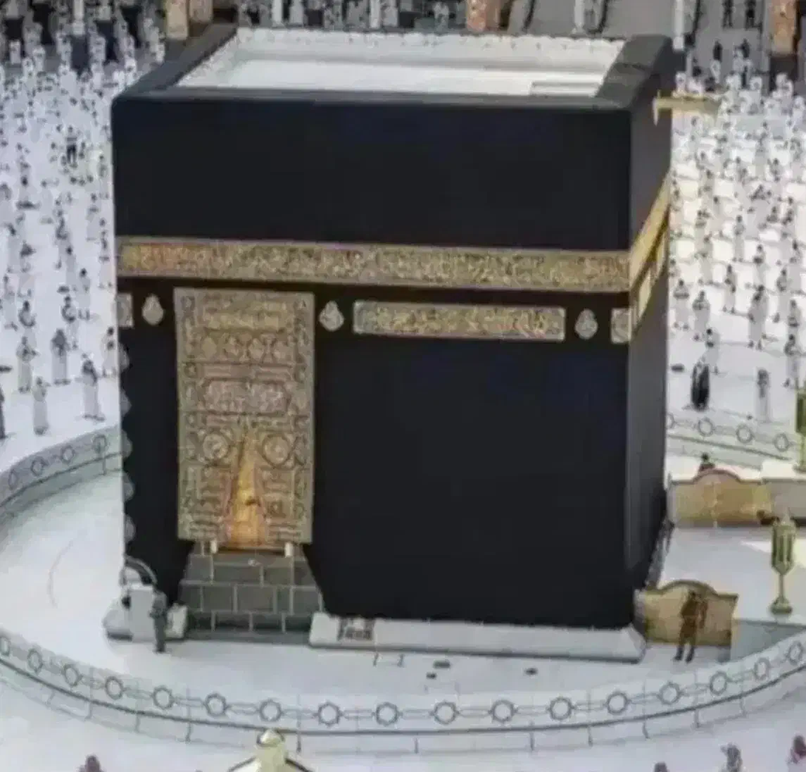 فروش دو عدد فیش عمره|تور و چارتر|گرگان, |دیوار