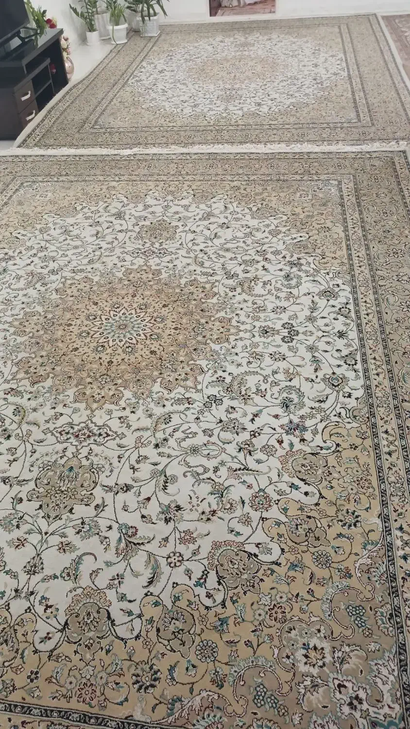 فرش ۱۲ متری سالم و نو تمام نخ|فرش|رزن, |دیوار